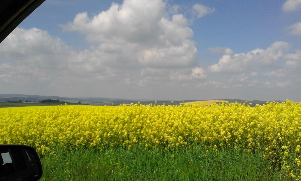 Seidelsferienparadiesgahlenz エクステリア 写真